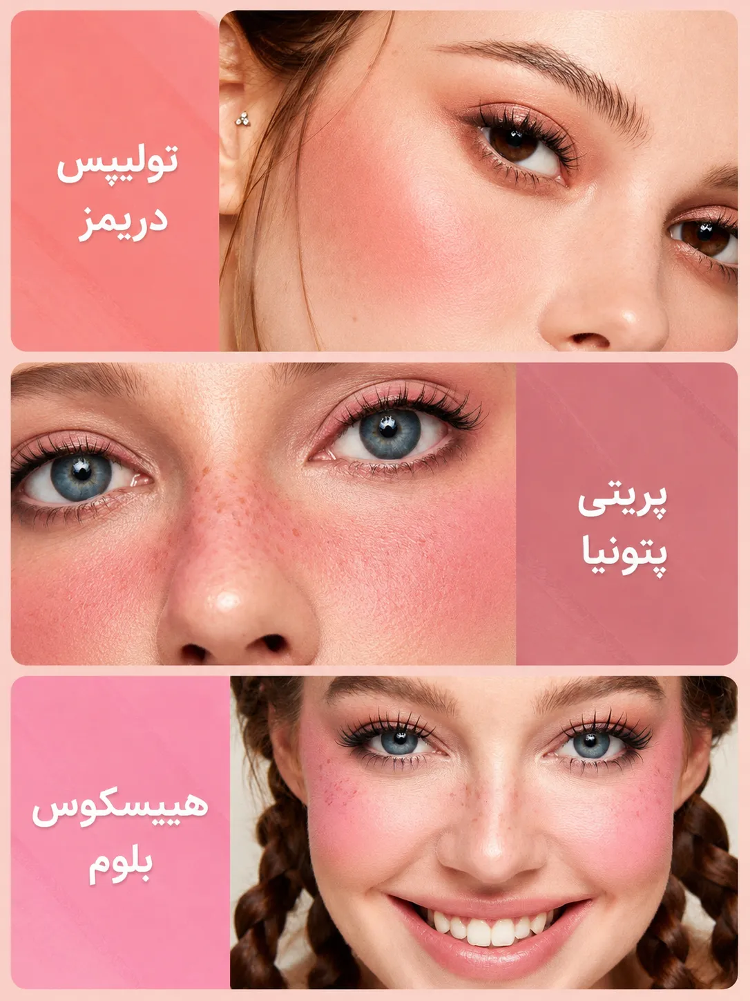 کلاژ سه چهره با گونه‌های صورتی و رژ گونه‌های پالت شیگلم، با برچسب رنگ‌های تولیپس دریمز، پرتی پتونیا و هیبیسکوس بلوم